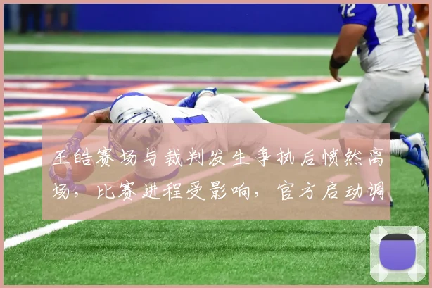 王皓赛场与裁判发生争执后愤然离场,比赛进程受影响,官方启动调查