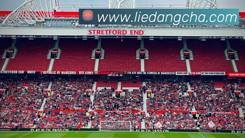 半岛官网在线登陆平台生态图